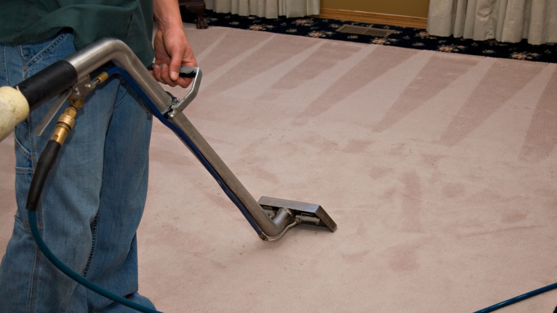 The Ultimate Guide to Professional Area Rug Cleaning Services