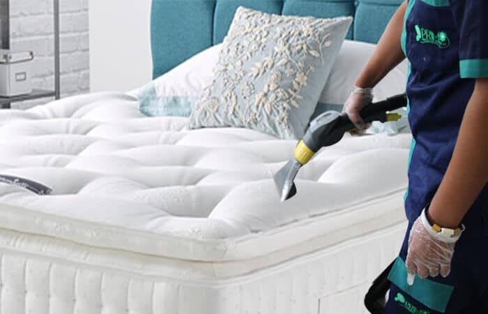 The Ultimate Guide to Professional Mattress Cleaning Services